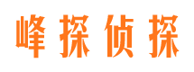 龙城侦探公司